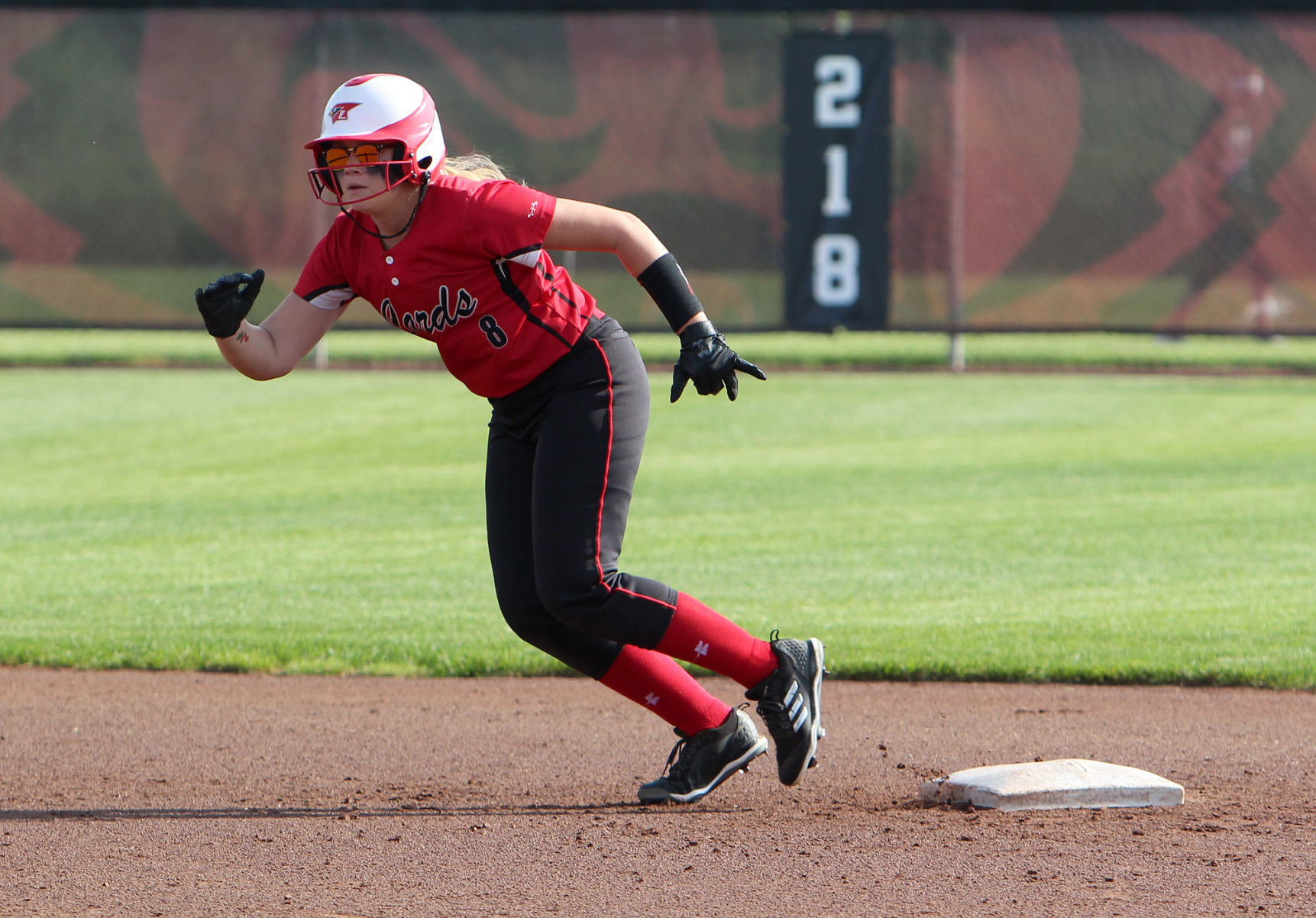Chi-Hi softball vs Kenosha Bradford/Reuther Division 1 state quarterfinals 6-6-19